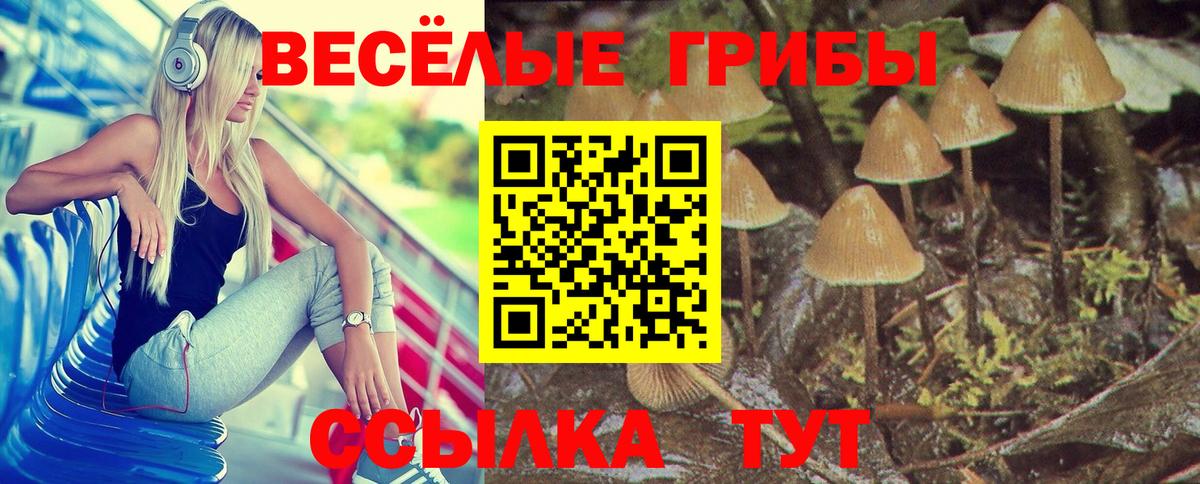 Псилоцибиновые грибы MAGIC MUSHROOMS Югорск