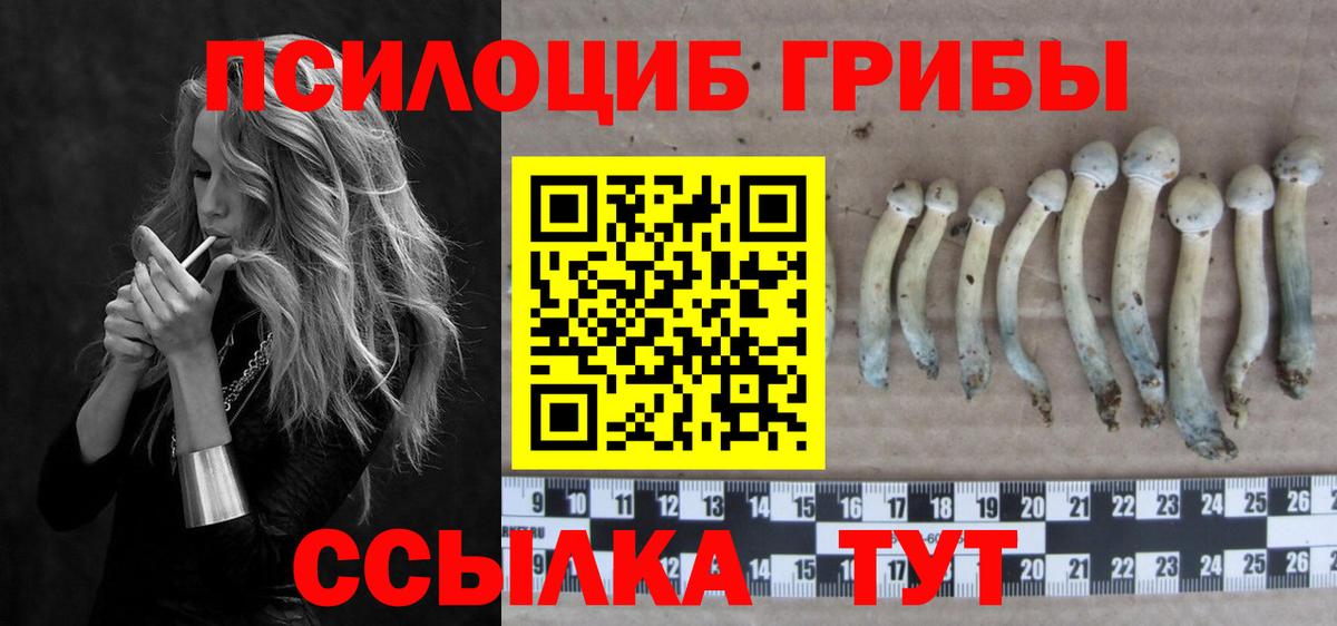 Галлюциногенные грибы мухоморы  Вход с VPN  Югорск 